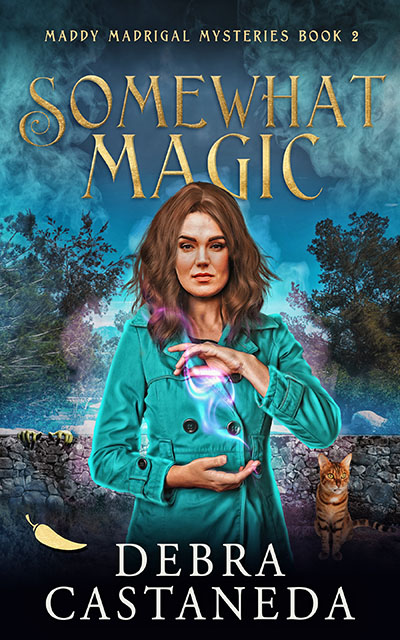 Book cover for Somewhat Magic